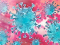 Pour de nouvelles politiques économiques tournées vers l’autosuffisance et les besoins de l’économie et de la société Pour de nouvelles politiques économiques tournées vers l’autosuffisance et les besoins de l’économie et de la société