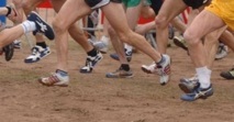 Cross-country national : Organisation de la phase finale à Kénitra