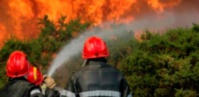 L’incendie de la forêt domaniale de Ghiraya maîtrisé L’incendie de la forêt domaniale de Ghiraya maîtrisé