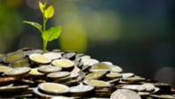 ​Faut-il épargner ou investir par temps de crise ?