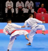 Cérémonie en l'honneur des vainqueurs du Championnat national virtuel de karaté Cérémonie en l'honneur des vainqueurs du Championnat national virtuel de karaté