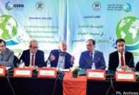 Annuaire du GERM:  “La Me ́diterrane ́ e plurielle dans un environnement de mondialisation et de de ́ se ́ quilibre re ́ gional”