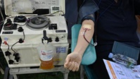 Le traitement grâce au plasma, "lueur d'espoir " en Egypte