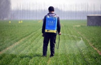 Des pesticides interdits exportés vers le Maroc Des pesticides interdits exportés vers le Maroc