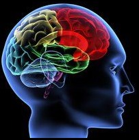 Le sport bon pour la mémoire Le sport bon pour la mémoire