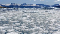 La banquise d'été de l'Arctique au deuxième plus bas niveau jamais observé