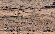 insolite : Des légumes chinois sur Mars?