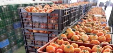 Hausse de la valeur des exportations agricoles durant la campagne 2019-2020