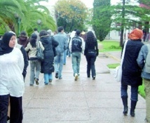 Reportage : A l’université, les étudiants sont en quête d’une formation en adéquation avec le marché de l’emploi