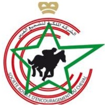 L’étonnante décision de la Société Royale d’encouragement du cheval : Des chevaux de race condamnés à l’abattoir L’étonnante décision de la Société Royale d’encouragement du cheval : Des chevaux de race condamnés à l’abattoir