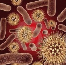 Nouveau cas de méningite à Fès : Faut-il craindre une épidémie ? Nouveau cas de méningite à Fès : Faut-il craindre une épidémie ?