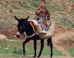 Déviations des pratiques évaluatives  et fausse excellence Déviations des pratiques évaluatives  et fausse excellence