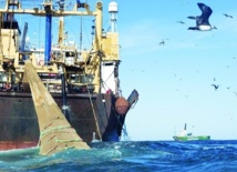Madrid met la pression pour parvenir à un nouvel accord de pêche avec le Maroc : Nouveau round de négociations avec l’UE à Rabat Madrid met la pression pour parvenir à un nouvel accord de pêche avec le Maroc : Nouveau round de négociations avec l’UE à Rabat