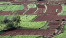 La croissance demeure tributaire de Dame nature La croissance demeure tributaire de Dame nature