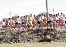 Le Maroc participe au Championnat maghrébin de cross-country scolaire Le Maroc participe au Championnat maghrébin de cross-country scolaire