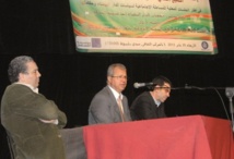 Mettre fin à la problématique des habitations menaçant ruine Mettre fin à la problématique des habitations menaçant ruine