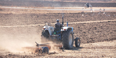 Les précipitations font le bonheur des agriculteurs