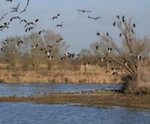 «Les zones humides protègent notre eau»