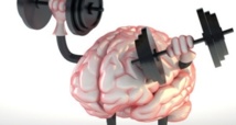 Faire du sport améliore les performances du cerveau Faire du sport améliore les performances du cerveau