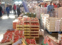 Les producteurs des fruits et légumes se plaignent du laxisme de l’Exécutif : La situation du secteur agricole est grave et exige une intervention urgente Les producteurs des fruits et légumes se plaignent du laxisme de l’Exécutif : La situation du secteur agricole est grave et exige une intervention urgente