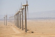 Le plus important projet éolien en Afrique démarre ses travaux à Tarfaya