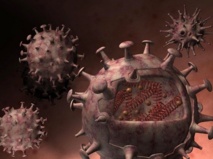 Le virus A H1N1 tue à Dakhla Le virus A H1N1 tue à Dakhla
