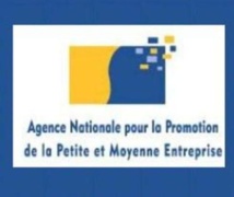 Baisse significative des indicateurs des PME Baisse significative des indicateurs des PME