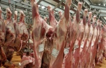 De la viande avariée dans les abattoirs de Casablanca De la viande avariée dans les abattoirs de Casablanca