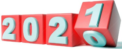 Une année de chien Une année de chien