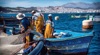 La fièvre migratoire s'empare des patrons de la pêche artisanale