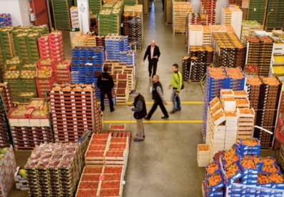 Les grossistes de moins en moins optimistes Les grossistes de moins en moins optimistes