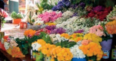 La floriculture se flétrit en temps de crise