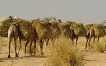 Les infrastructures mises à nu par les pluies Les infrastructures mises à nu par les pluies