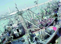 La productivité du secteur de la pêche en deçà des potentialités La productivité du secteur de la pêche en deçà des potentialités