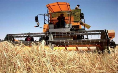 Perspectives prometteuses pour les céréales Perspectives prometteuses pour les céréales