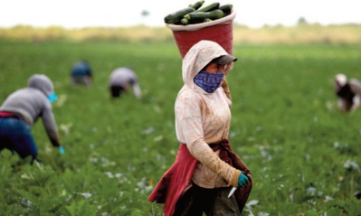 Travail décent : une denrée rare en Afrique du Nord Travail décent : une denrée rare en Afrique du Nord