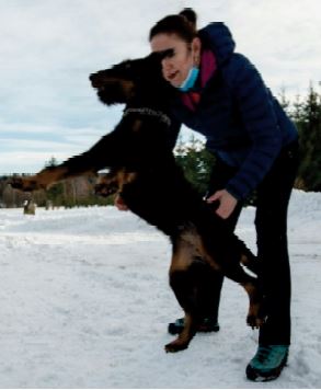 Les Tchèques préparent les chiens pour combattre la Covid-19