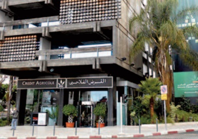 Le CAM rencontre les fédérations interprofessionnelles de trois filières agricoles Le CAM rencontre les fédérations interprofessionnelles de trois filières agricoles