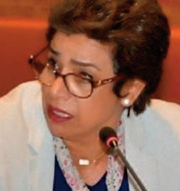 Fatiha Saddas dénonce l'absence de transversalité des différents programmes gouvernementaux concernant la lutte contre les bidonvilles Fatiha Saddas dénonce l'absence de transversalité des différents programmes gouvernementaux concernant la lutte contre les bidonvilles