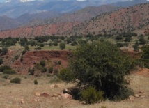Inauguration de la Maison de l’argan à Smara Inauguration de la Maison de l’argan à Smara