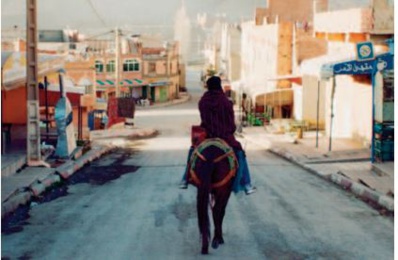 Qu ’importe si les bêtes meurent de Sofia Alaoui nominé aux Césars