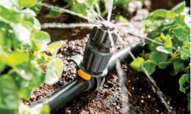 La micro-irrigation, un levier primordial de l’ avenir agricole du Royaume La micro-irrigation, un levier primordial de l’ avenir agricole du Royaume