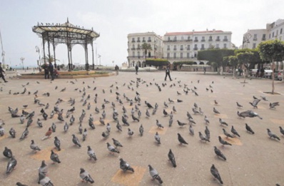 L'attaque médiatique de l'Algérie contre le Maroc porte atteinte aux liens de fraternité et à l'histoire commune L'attaque médiatique de l'Algérie contre le Maroc porte atteinte aux liens de fraternité et à l'histoire commune