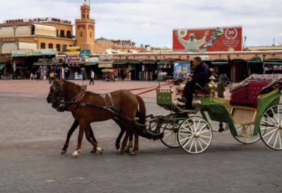 Entre incertitude et espoir, les guides touristiques endurent l’ arrêt du secteur Entre incertitude et espoir, les guides touristiques endurent l’ arrêt du secteur
