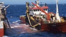 L’accord de pêche Maroc-UE à l’ordre du jour L’accord de pêche Maroc-UE à l’ordre du jour