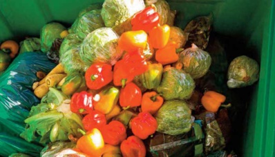 Le gaspillage alimentaire, une grosse calamité du 21ème siècle