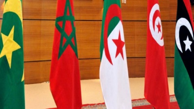 Coup d’envoi d’une exposition artistique virtuelle internationale en soutien au projet du grand Maghreb Coup d’envoi d’une exposition artistique virtuelle internationale en soutien au projet du grand Maghreb
