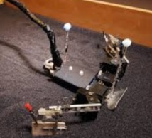 FlipperBot, un robot pour la sauvegarde des espèces menacées FlipperBot, un robot pour la sauvegarde des espèces menacées