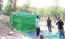 Le HCR appelle le Maroc à suspendre l'expulsion des migrants centrafricains Le HCR appelle le Maroc à suspendre l'expulsion des migrants centrafricains