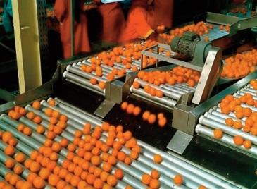 Les industries agricoles et alimentaires ont prouvé leur résilience